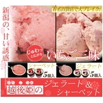 �ē��������_���̂������W�F���[�g&�V���[�x�b�g  10��